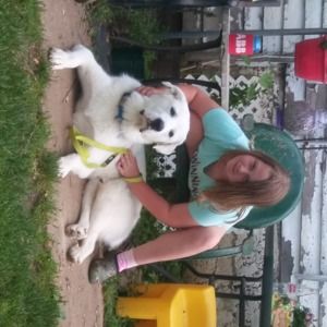 Meet your Posher, Billy